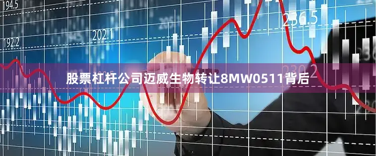 股票杠杆公司　　迈威生物转让8MW0511背后