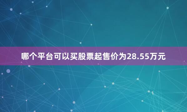 哪个平台可以买股票起售价为28.55万元
