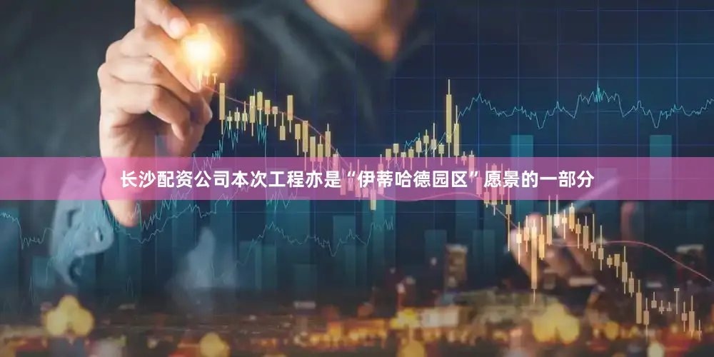 长沙配资公司本次工程亦是“伊蒂哈德园区”愿景的一部分