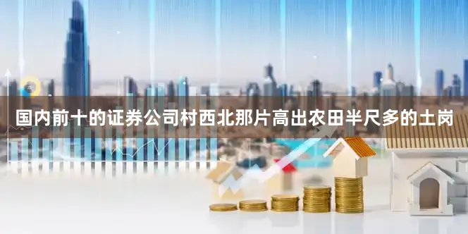 国内前十的证券公司村西北那片高出农田半尺多的土岗