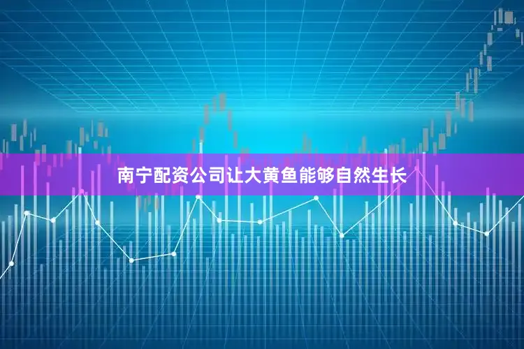 南宁配资公司让大黄鱼能够自然生长